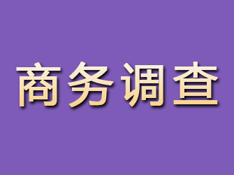 枞阳商务调查